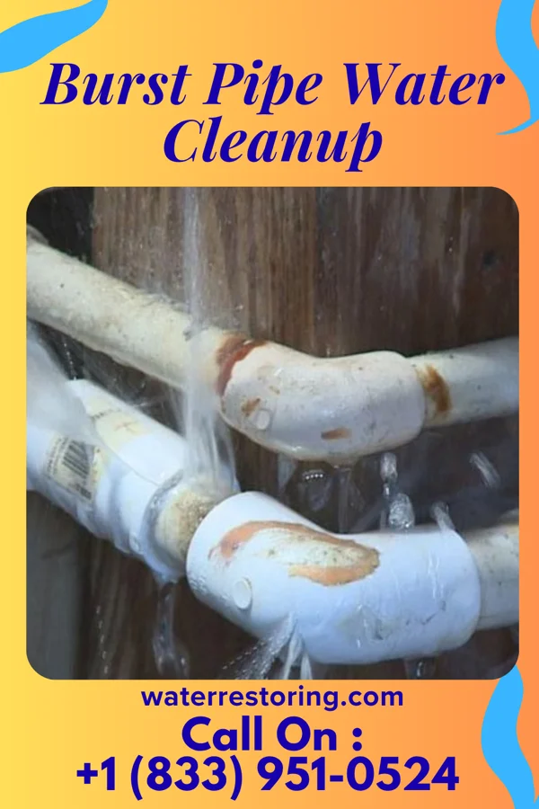 Burst Pipe Water Cleanup in Jamesville, NC