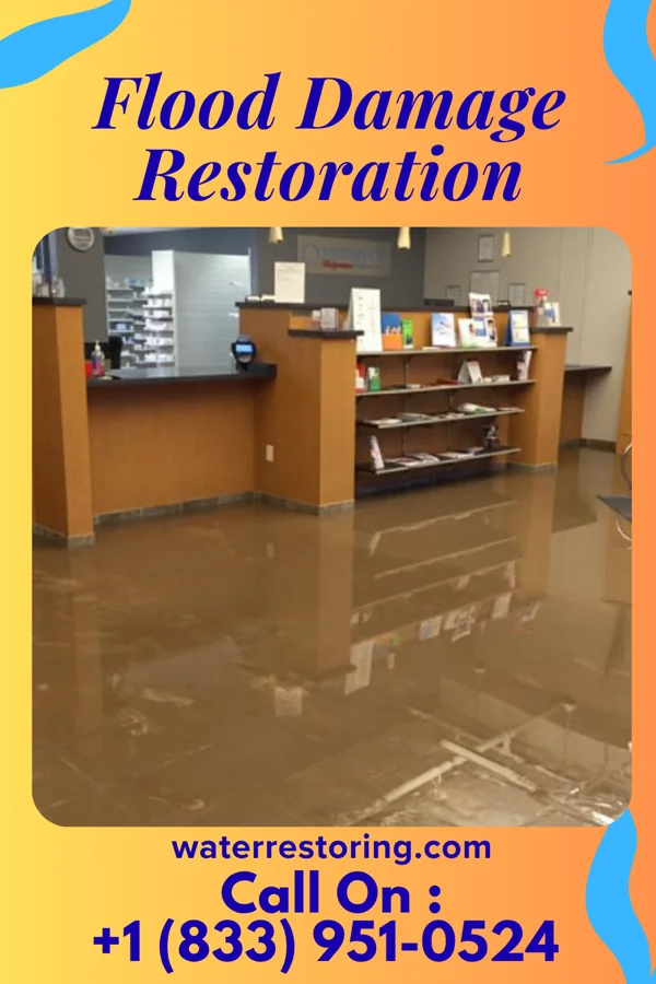 Flood Damage Restoration in Jamesville, NC